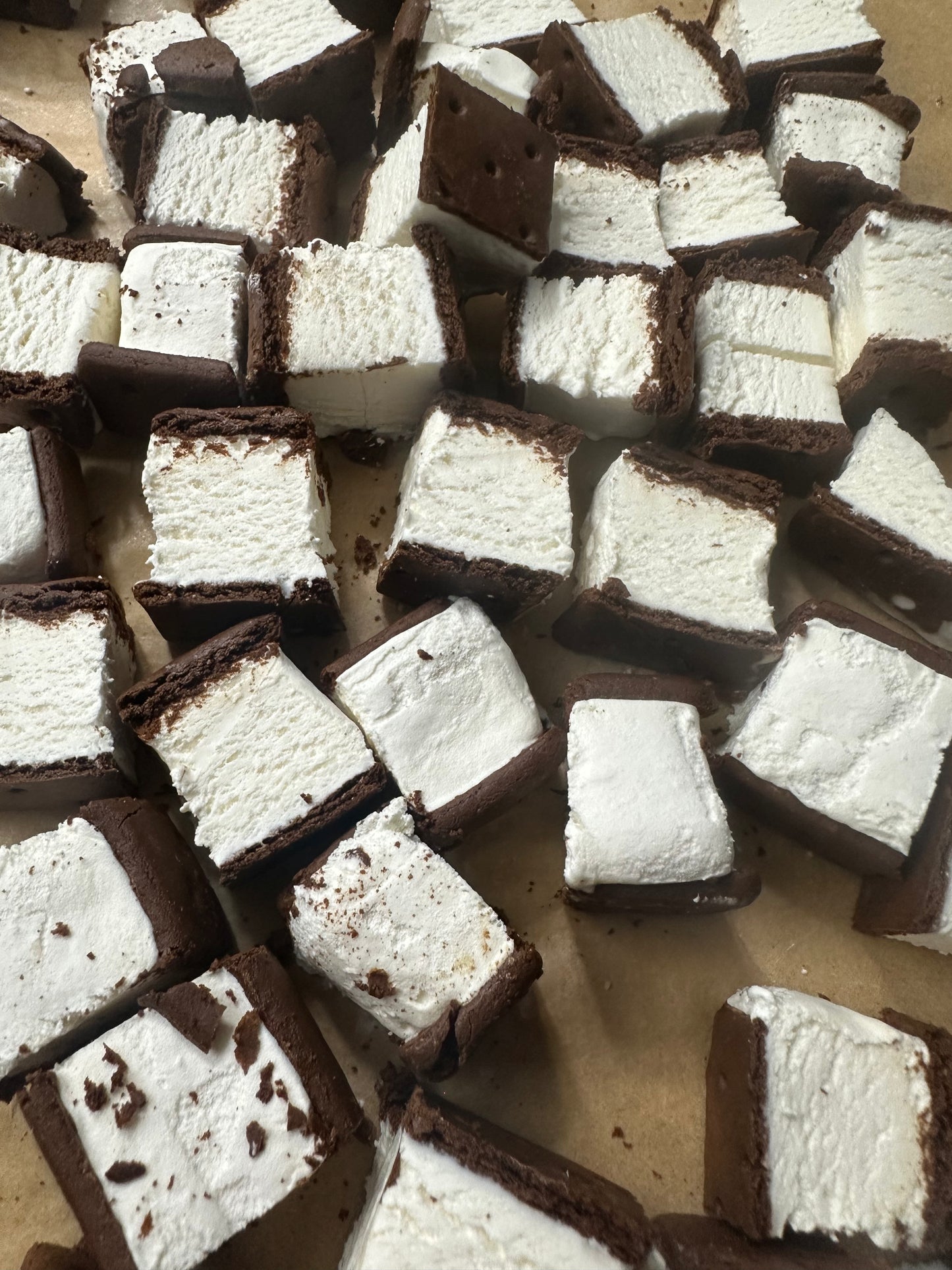 Freeze dried Ice Cream Sandwiches