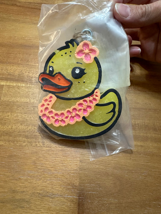 Duck freshie